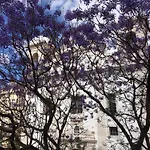 公寓 Casa Do Caldas