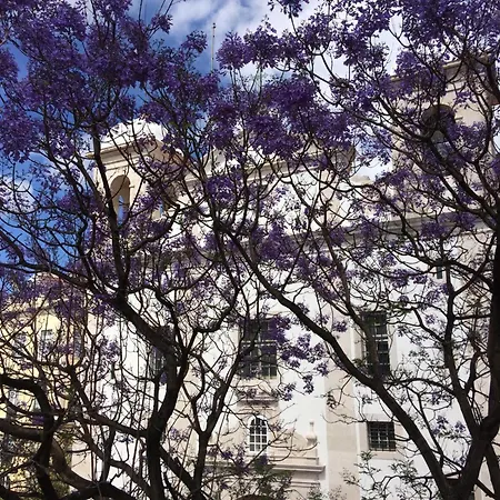 Διαμέρισμα Casa Do Caldas